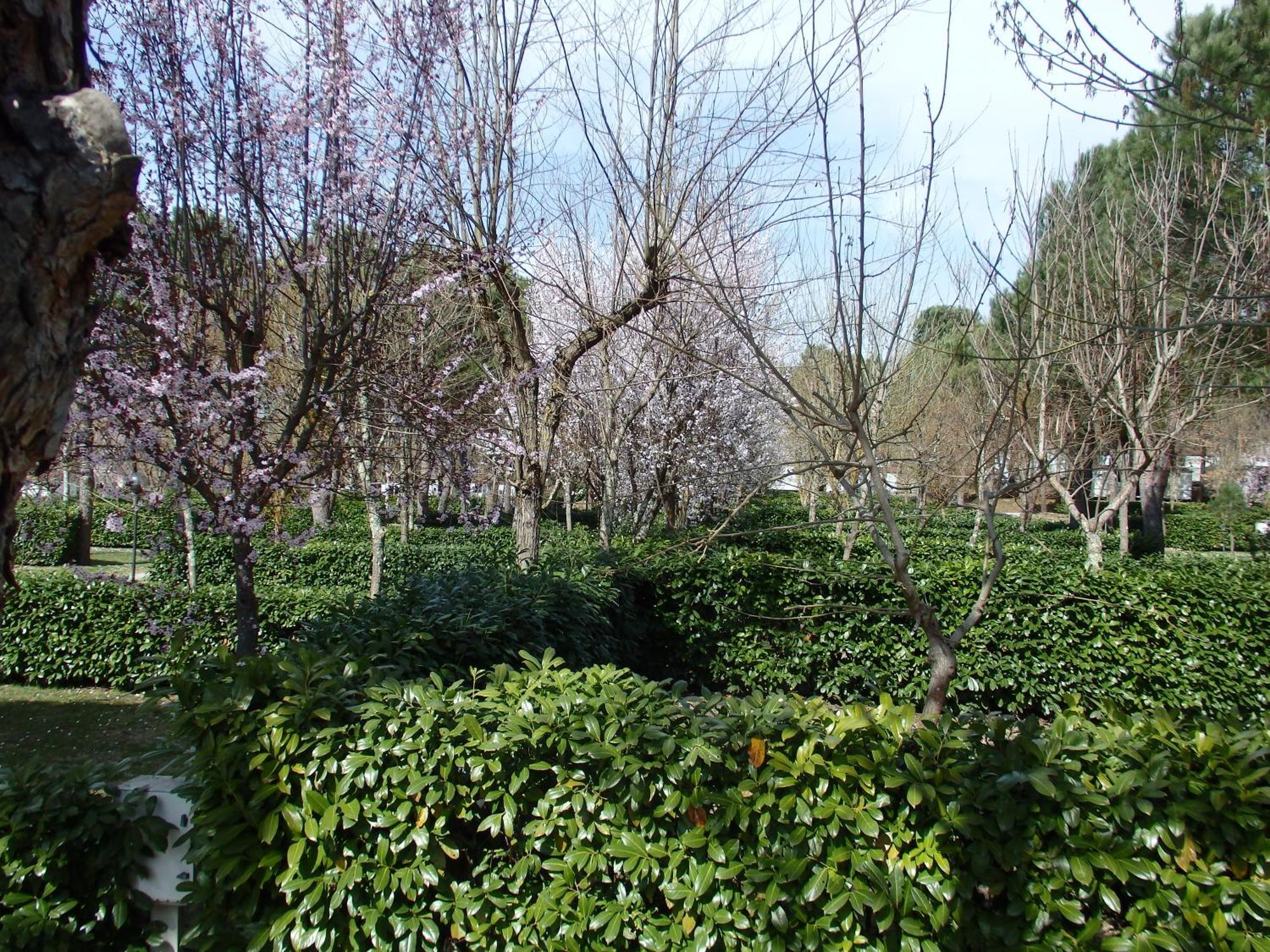 Village La Chiocciola *